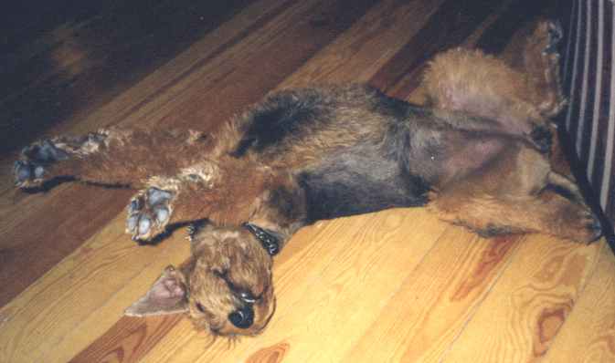Jaga-sleep stretching