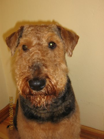 aftershave3.jpg