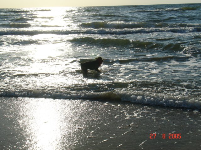 debina2005.jpg