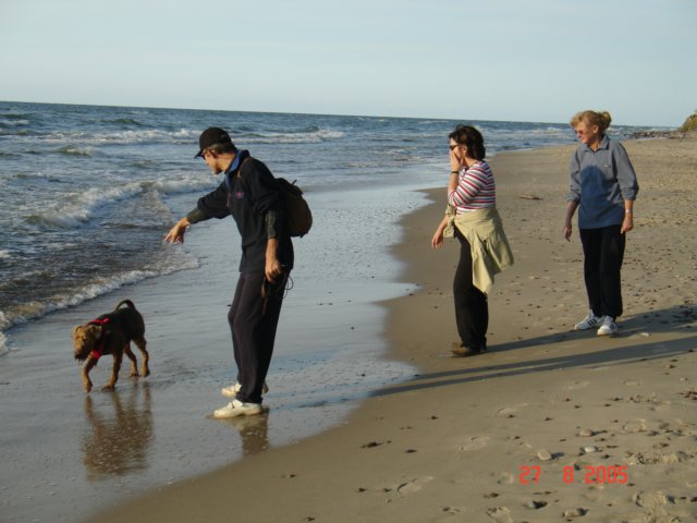 debina20054.jpg