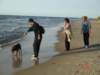 debina20054_small.jpg