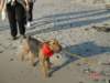 debina20055_small.jpg