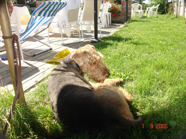 debina20058.jpg