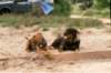 gardno2003friend_small.jpg