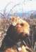 gswietokrzyskie20002_small.jpg