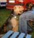 lubkowo2004_small.jpg