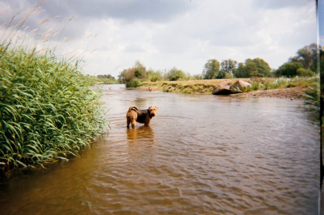 pilica8.jpg