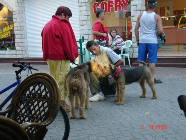 rowy2005kuzynrumun2.jpg