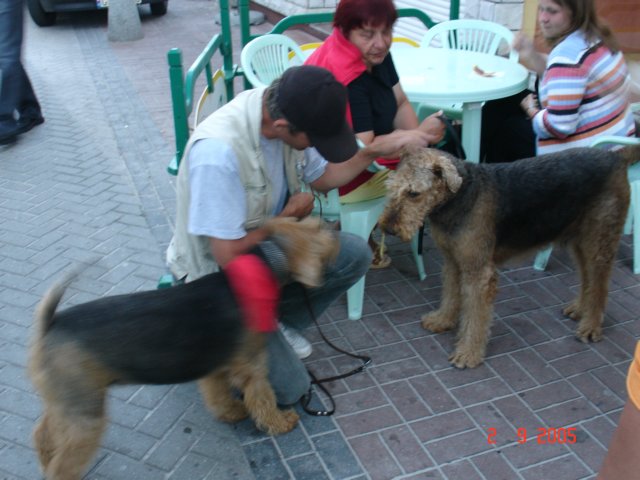 rowy2005kuzynrumun6.jpg