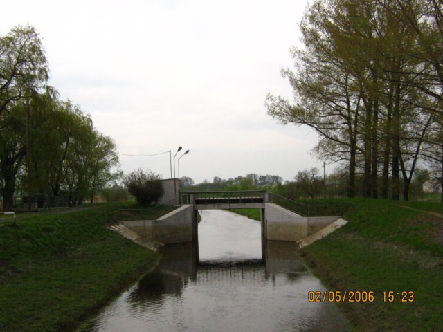 kanawieprzkrznadratw.jpg
