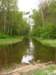 sosnowicajezbiaekanal_small.jpg