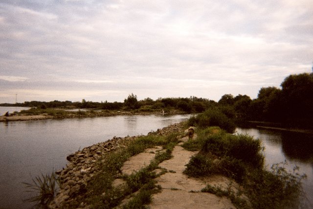Photograph